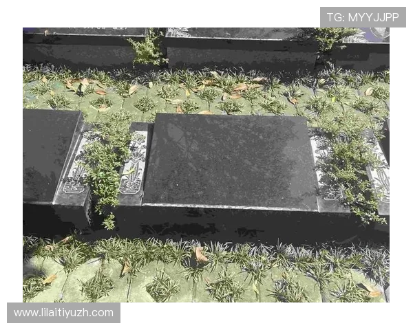 在e世博网投平台注册，轻松开启您的线上博彩新体验